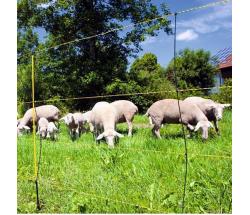 ELECTRIC FENCING FOR SHEEP 50m REEL - 7345