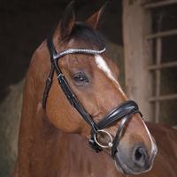 ENGLISH HEADSTALL EXCELSIOR mod. DIAMOND WITH RUBBER REINS