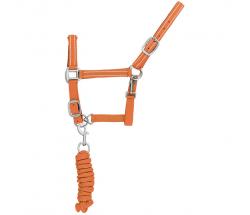 REFLECTIVE REINFORCED NYLON HALTER WITH LEAD - 0361