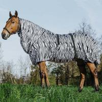 HORSE RUG ANTI ECZEMA AGAINST INSECTS